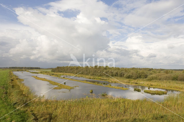 National Park Weerribben-Wieden