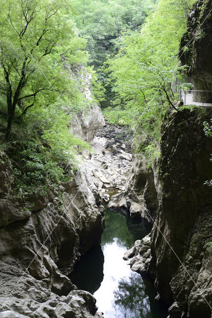 Rakov Skocjan Nature Reserve