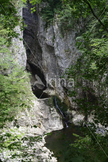 Natuurpark Rakov Skocjan