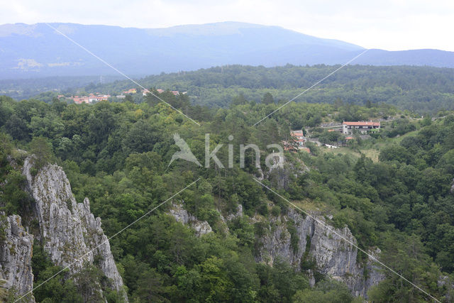 Rakov Skocjan Nature Reserve