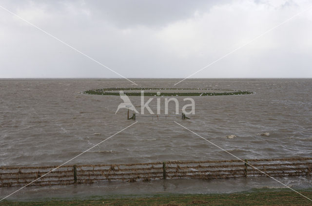 Noord Friesland Buitendijks