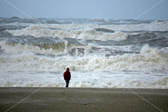 Noordzeestrand