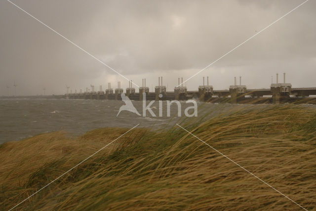 Oosterscheldedam