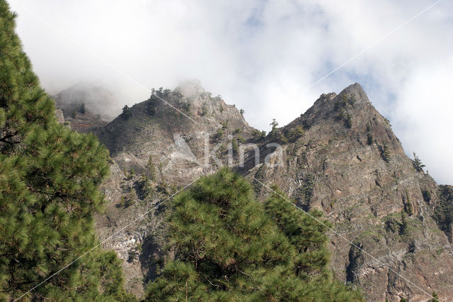 Parque Nacional de la Caldera de Taburiente