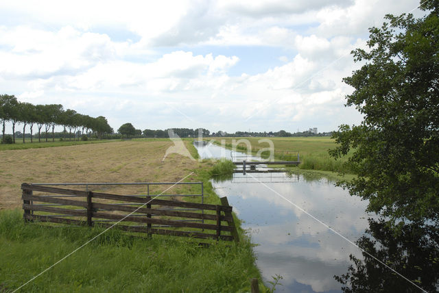 Polder Rozendaal