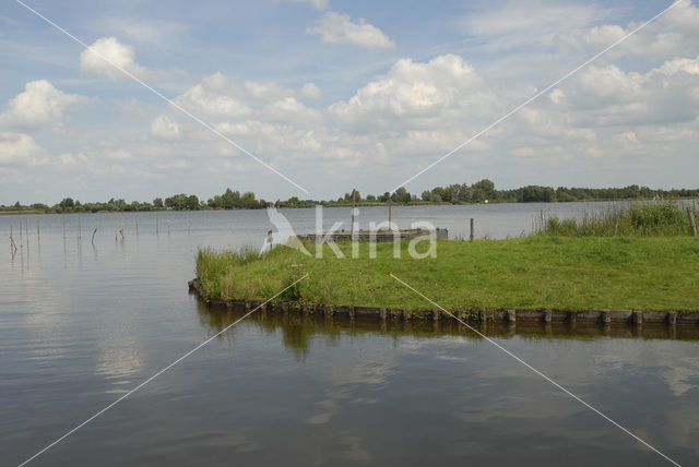 Reeuwijkse Plassen