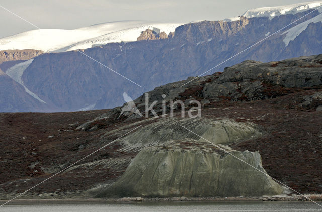 Rypefjord