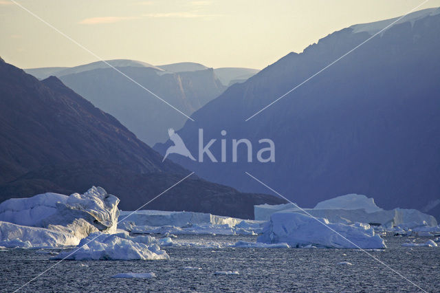 Rypefjord