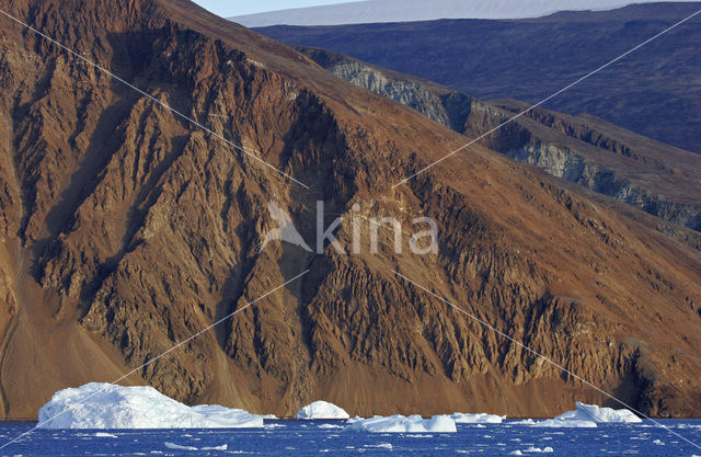 Rypefjord