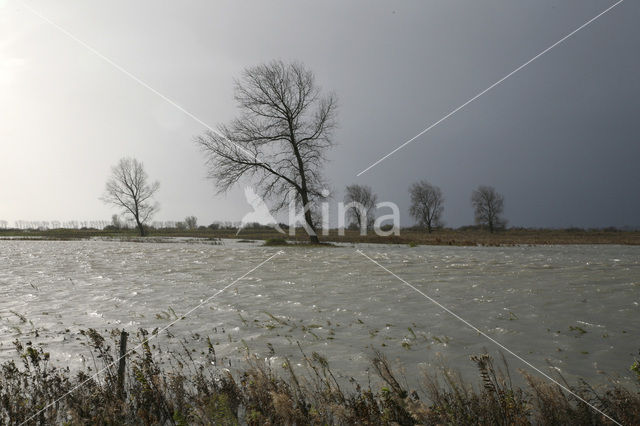 Tiengemeten