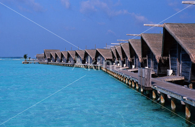 White Sands Resort