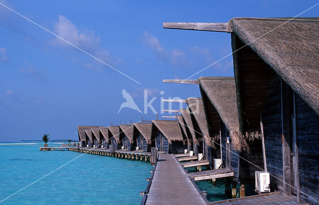 White Sands Resort