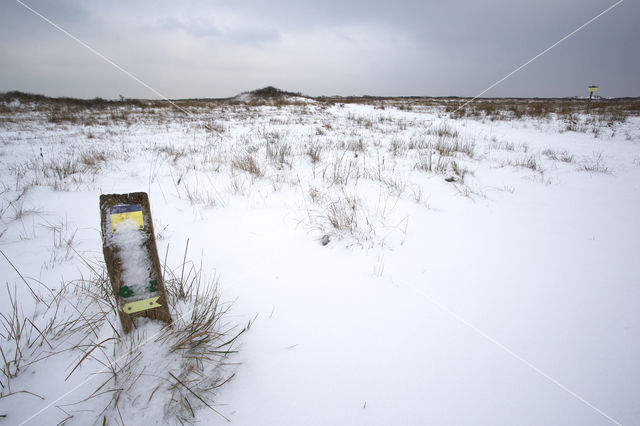 Duinen van Goeree