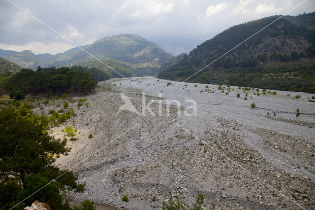 Karabayir Köyü