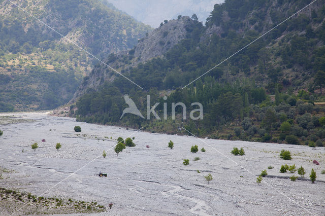 Karabayir Köyü