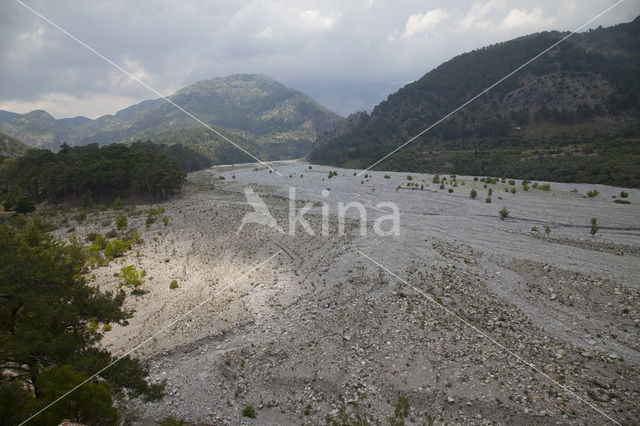 Karabayir Köyü