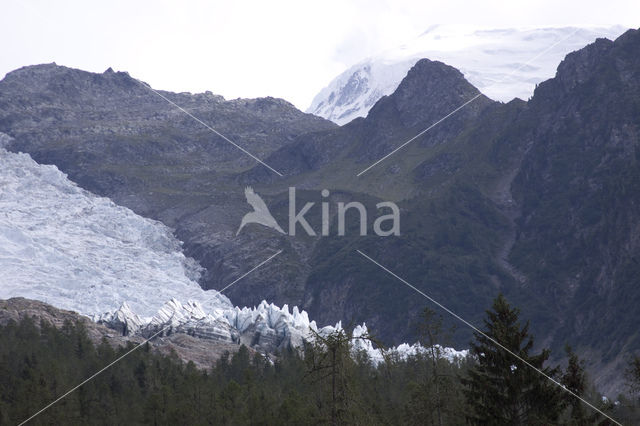 Mont Blanc de Courmayeur