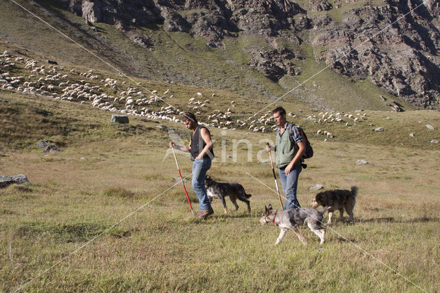 Nationaal park Gran Paradiso