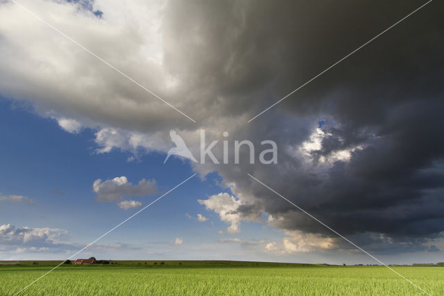 Oostwolder polder