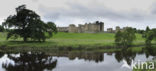 Alnwick Castle