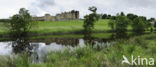 Alnwick Castle