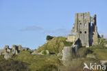 Corfe Castle