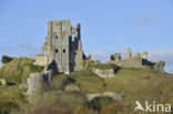 Corfe Castle