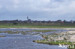 De Petten