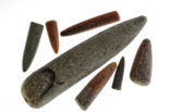 Belemnite (Belemnites) 