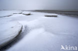 Duinen van Goeree