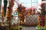 Floriade 2012