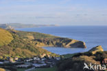 Lulworth Cove