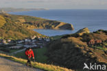 Lulworth Cove