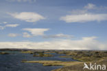 Myvatn