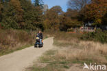 Nationaal park Utrechtse Heuvelrug