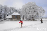 Natural Park Hautes Fagnes