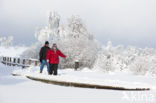 Natural Park Hautes Fagnes