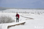 Natural Park Hautes Fagnes