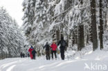 Natural Park Hautes Fagnes