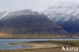 Noordwest IJsland