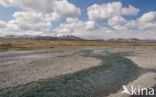 Northwest Iceland