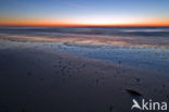 Noordzee