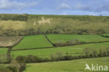 Osmington White Horse