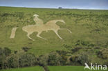 Osmington White Horse