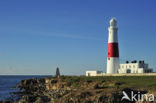 Portland Bill