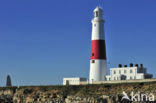 Portland Bill