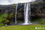 Seljalandsfoss