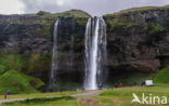 Seljalandsfoss