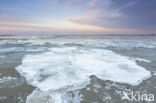 Waddensea