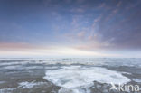 Waddenzee 